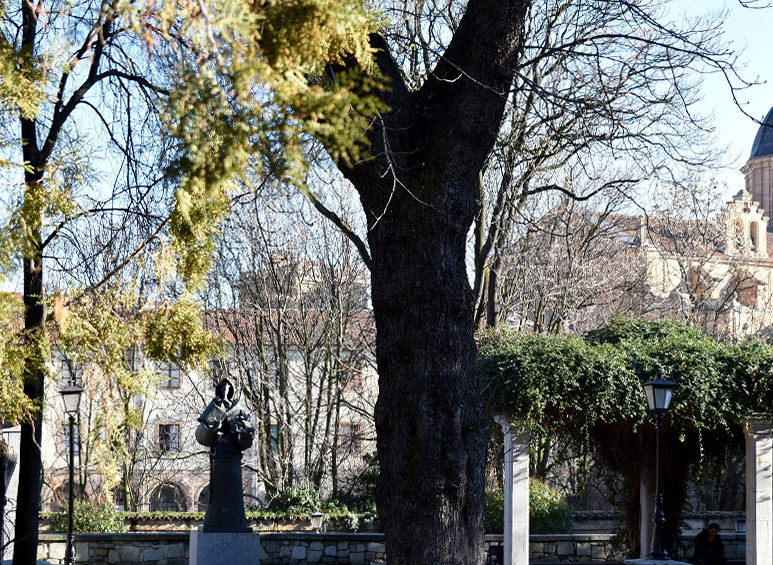 SALAMANCA LITERARIA