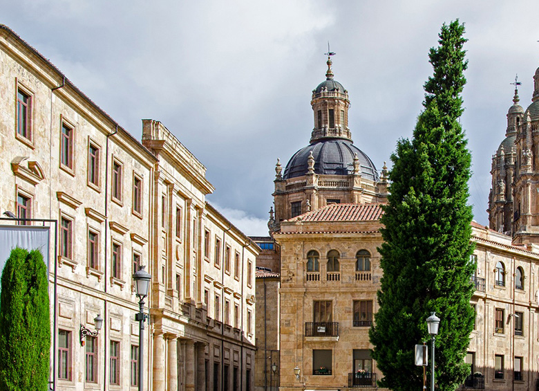 MARAVILLAS DE SALAMANCA, VISITA PRIVADA