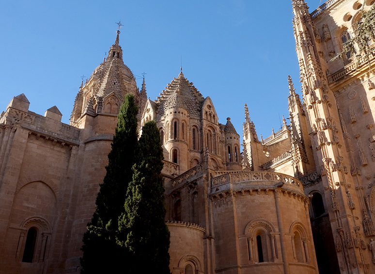 VISITAS GUIADAS SCAPE CITY CON GYMKANAS. SALAMANCA