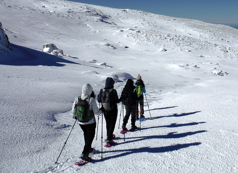RAQUETAS DE NIEVE. PROVINCIA.